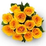 12 Yellow Roses Bunch