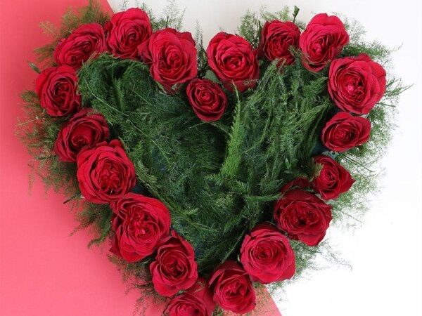 Valentines Red Roses 20 pcs Combo
