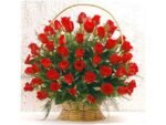 75 Red Roses Basket