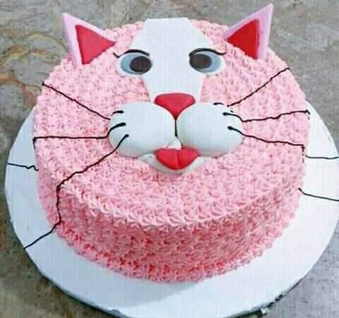 1 Kg Tiger Face Cake in Asansol