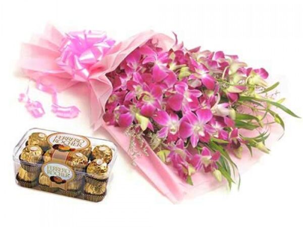 Choco Orchid Delight