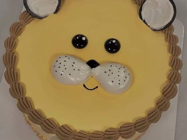 Baby Lion Cake