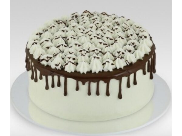 Chocolate Lovers′ Custard Cake 0.5