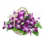 Bouquet Of Attractive Fresh Orchids
