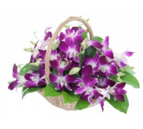 Bouquet Of Attractive Fresh Orchids