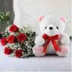 Roses and Teddy Bear Combo
